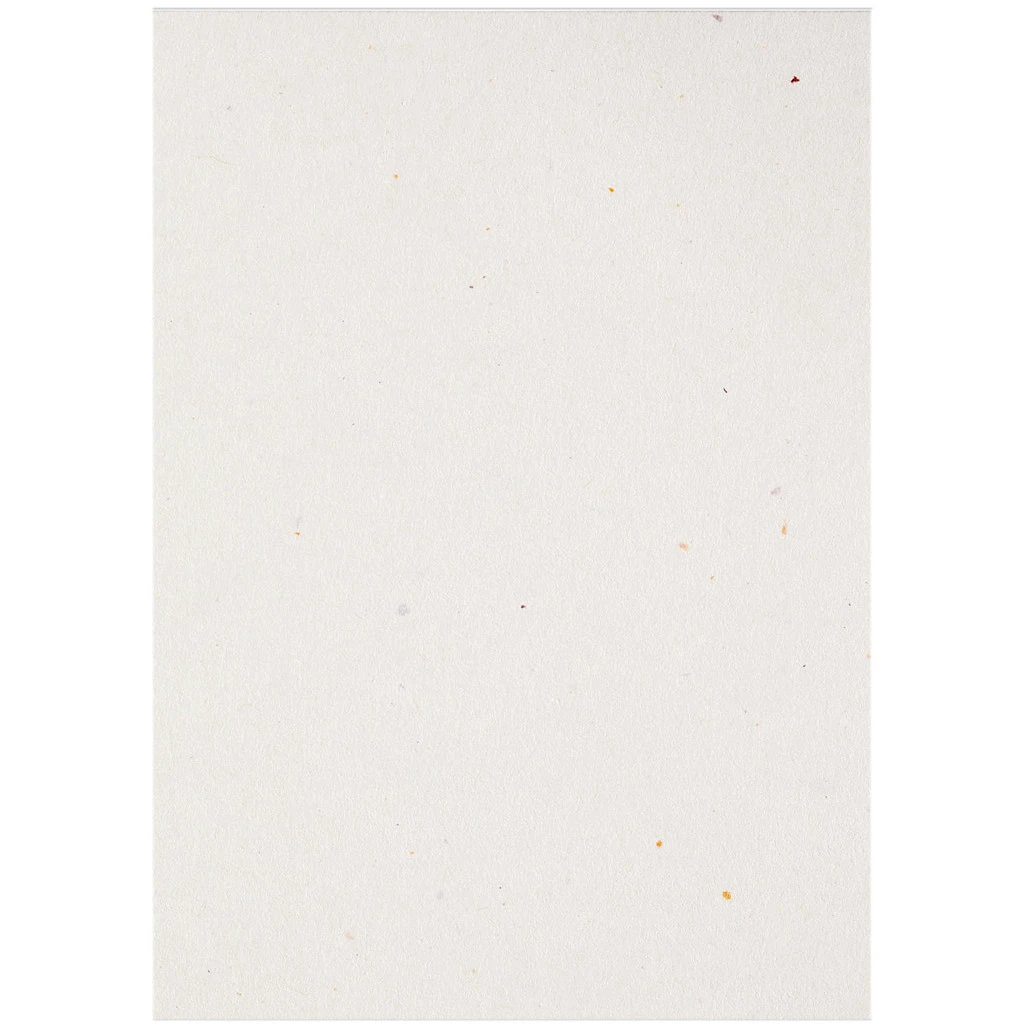 ARTOZ Karten 1001 A4 19269614-242 216g, tortilla 5 Blatt