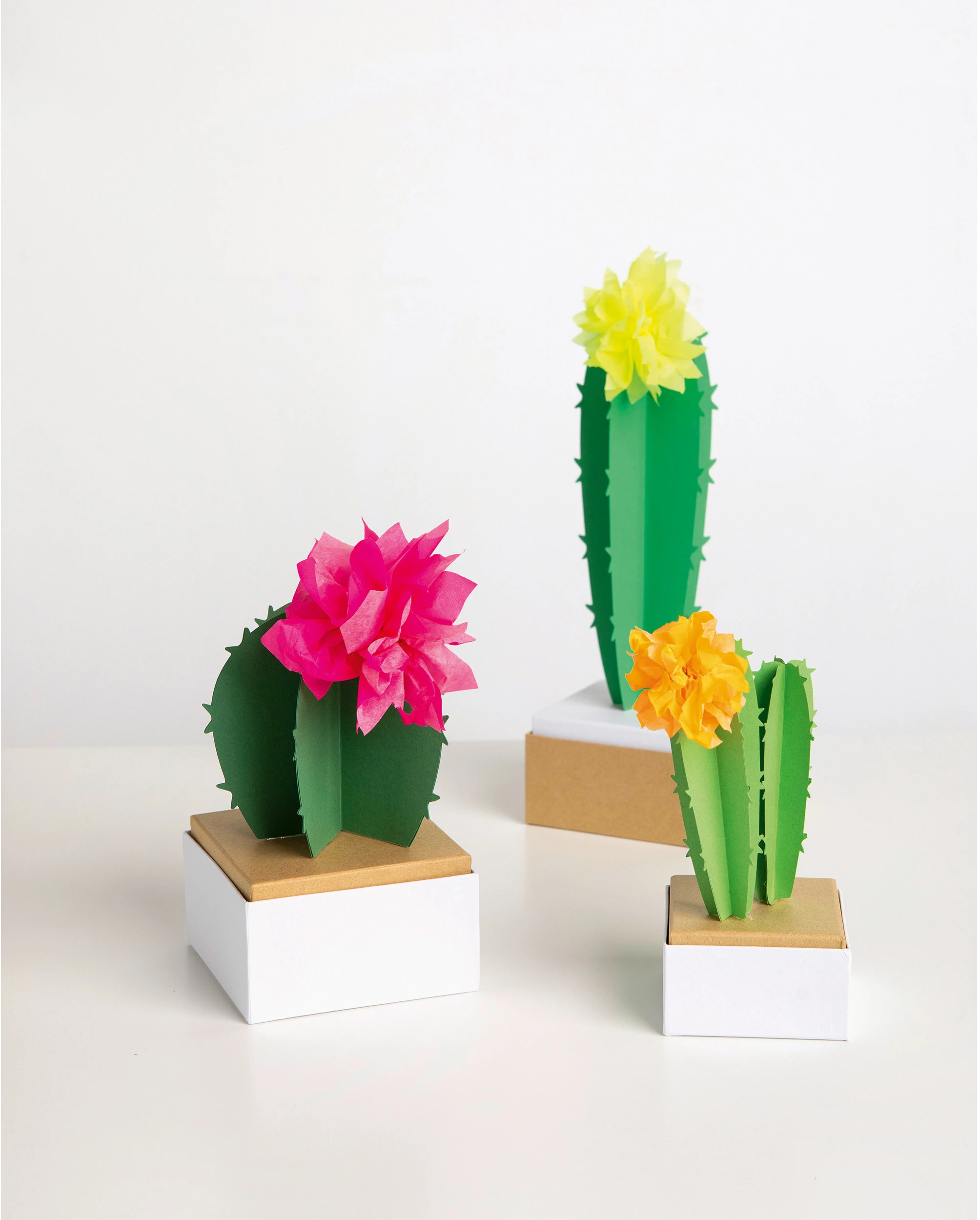 FOLIA Blumenseide 50x70 cm 91099 Neon Mix 5 Bogen
