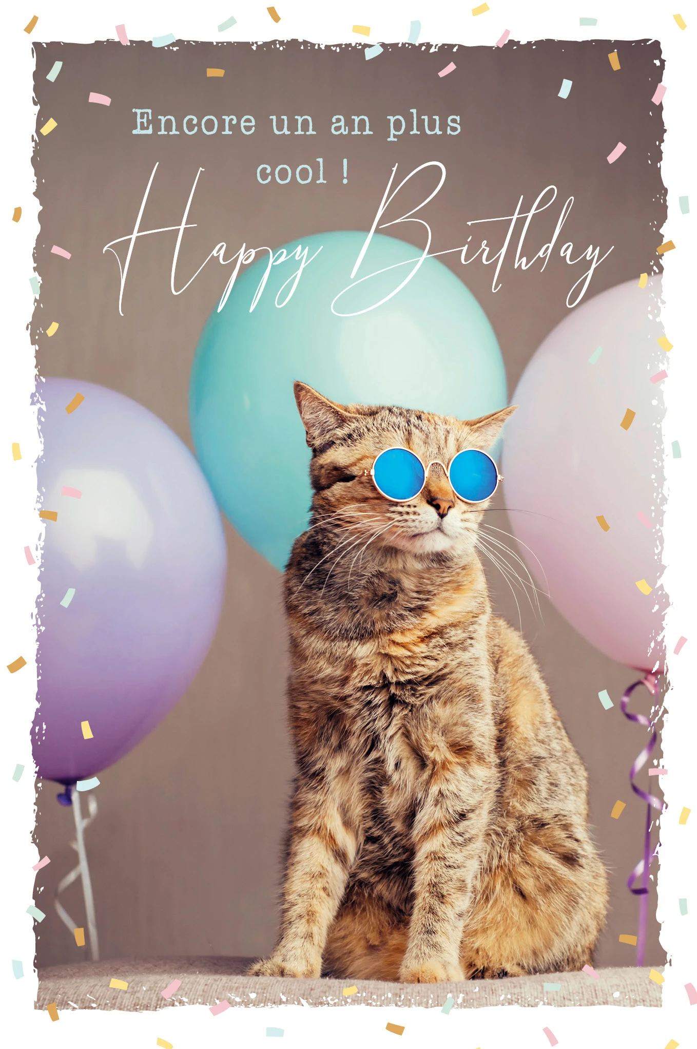 ABC Geburtstagskarte FR B6 53066 Sunny Cat