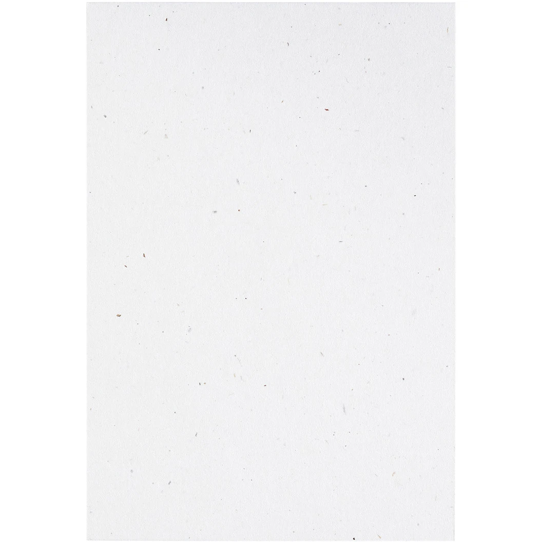 ARTOZ Karten 1001 A4 19269614-211 216g, birch 5 Blatt